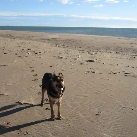 Mas De Perimont 28 *