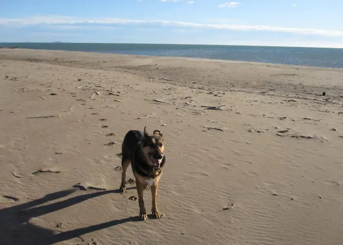 Mas De Perimont 28 *